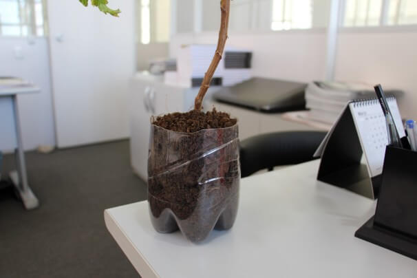 campanha PET vasos (1)