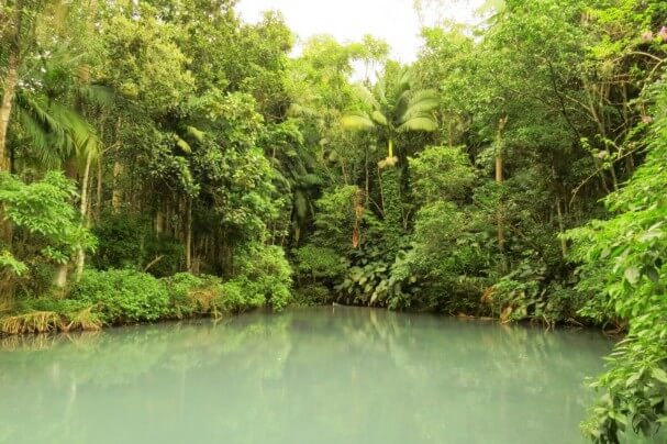 Aline Fernanda Ribeiro Dalazem_Preservação (Large)