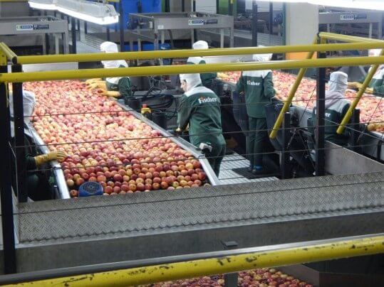 AryRAMHLrIHqC3Yx14Qo5xKs2AEyzV3H8NCOlk-YDw4X