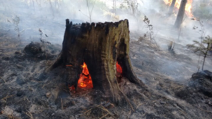 Matheus Gouveia _Degradação (Large)