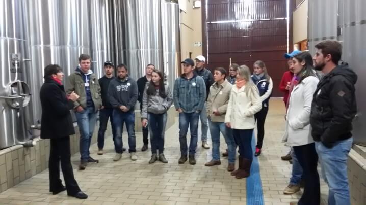 vinicolas (3) (Large)